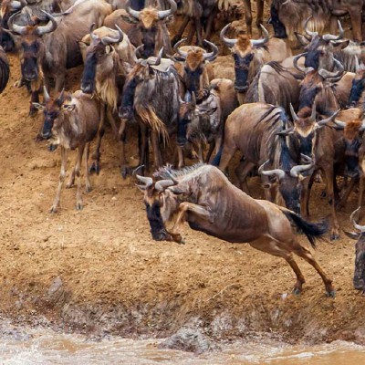 Masai Mara National Reserve in Kenya