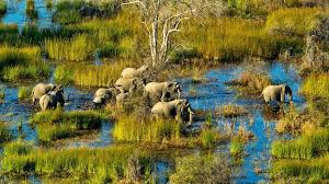 Okavango Delta in Botswana